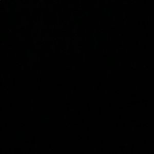 Meet your Posher, Hayden